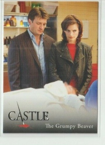 Castle show seasons 2 - castle,